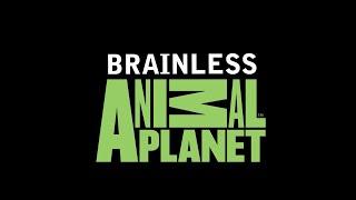 Brainless Animals Vakasyong