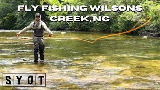 Having A Day at Wilsons Creek  North Carolina Fly Fishing