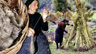 Hemp in the Pyrenees. Cultivation and traditional production of fabrics and fibers in 1996