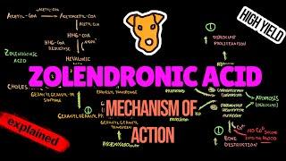 ZOLENDRONIC ACID Mechanism of action and Side effects. Multiple Myeloma Treatment