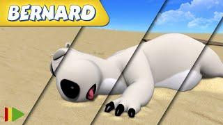 ‍️ BERNARD   Collection 24  Full Episodes  VIDEOS and CARTOONS FOR KIDS