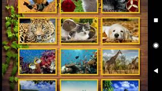 Jigsaw Puzzle Collection HD