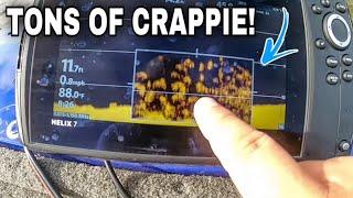 How To Locate Brush Piles With Side Imaging For CRAPPIE Made EASY