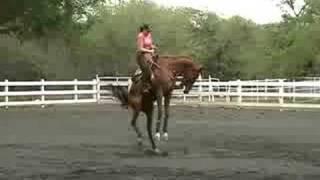 Bucking Horse with Female Rider