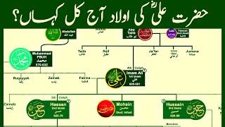 Family Tree of Hazrat Ali  The Most Influential Muslim of All Time  Part 01  Nasheed  @calmislamicmusic