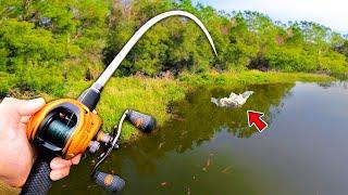 Fishing for 15lb Bass in HIDDEN Trophy Pond