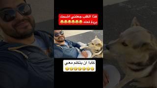 هذا الكلب لم اتوقع منه ان يفعل ذالك  #shortvideo #comedy #video #trending #dog #shorts