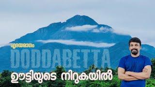 Ooty Tourist Places  Doddabetta Peak Rose Garden Ootty & Ooty Boat House & Lake By HRIDAYARAGAM