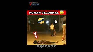 POV-HUMAN VS ANIMAL  hanuman  #hanumanji #bajrangbali #ghost #prank #viral #video