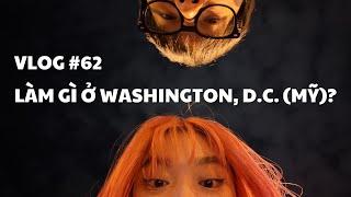 VLOG #62 LÀM GÌ Ở WASHINGTON D.C. MỸ?  duongfynn