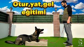 Oturyatgel eğitimi ‍