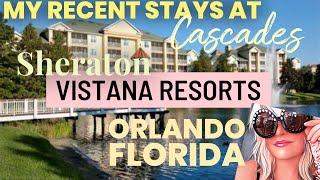 Sheraton Vistana Resort Orlando Florida 2024