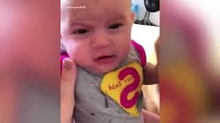 Most Amazing 1 Hour of Cute Kids And Pets 2018  Funny Pet Videos