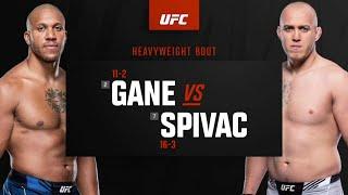 UFC Fight Night Gane vs Spivak Highlights