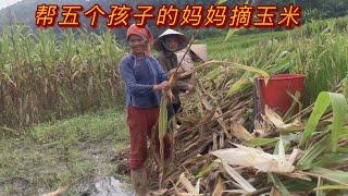 越南小妝｜小妝和小橫幫阿姨摘玉米，阿姨一個人自己幹活養五個兒子