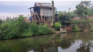 Berduaan tinggal bermalam di gubuk kebun suasananya adem banget