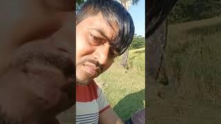 তোফাজ্জল ভাই সব কিছু হারিয়ে একা জীবন চলার চেষ্টা কিন্তু এই কষ্টের জীবনে ভাতের বিনিময়ে জীবন দিতে হল।