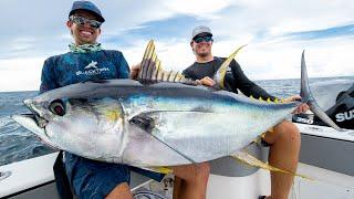 Monster Yellowfin Tuna