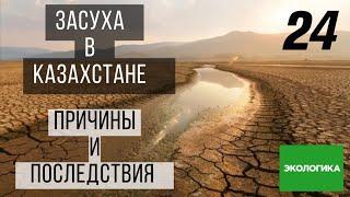 Засуха в Казахстане причины и последствия  Экологика