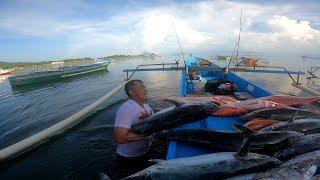 STRIKE TANPA HENTI DARI SORE SAMPAI PAGI  JURASSIC PARK MANADO