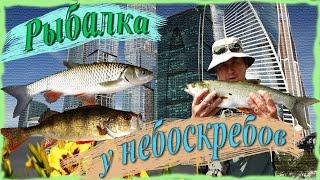 Рыбалка у небоскребов. Стритфишинг  в центре Москвы. Голавль на таракана