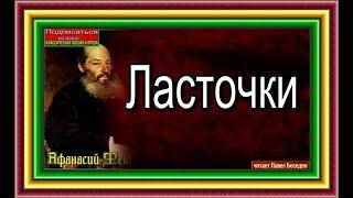 Ласточки Афанасий Фет  Русская Поэзия  читает Павел Беседин