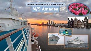 Eine Kurz Kreuzfahrt mit dem ZDF-Traumschiff MS Amadea auf der Nordsee  Phoenix Reisen