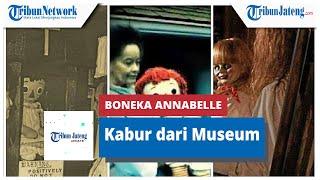 Heboh Boneka Annabelle Disebut Kabur dari Museum