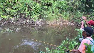 MANCING IKAN PALING MENYENANGKAN SAAT IKAN  LAGI RAKUS RAKUS NYA