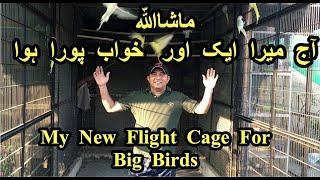 My New Flight Cage For Big BirdsColony For Ringneck Raw GreyShed ExtendedJB AVIARYJIBRAN AHMAD