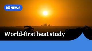 Australian researchers conduct world-first heat study  ABC News