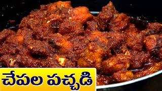 Special Fish Pacchadi in Telugu  చేపల పచ్చడి అద్భుతంగా ఉంటుంది ఇలా పెట్టారంటే  Food Express