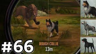 Hunting With Dogs In Southeast Africa Deer Hunter 2017 Ep66