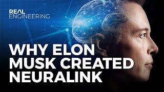 Why Elon Musk Created Neuralink feat. Real Science
