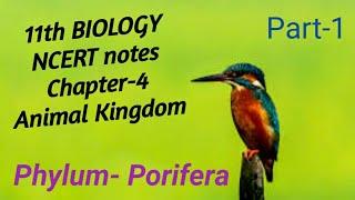 Biology NCERT Notes Ch-4 Animal Kingdom Part-1.