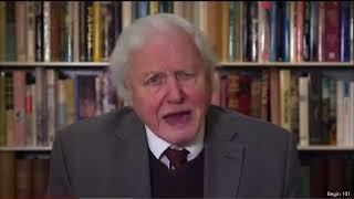 Videoclip with comments of Sir David Attenborough warning us time and again about Global Warming