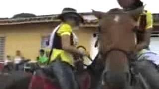 A horse trying to fuck a girl اسب حشری