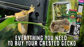 Beginners Guide To Crested Gecko Supplies  Tank Heater Light Substrate & More