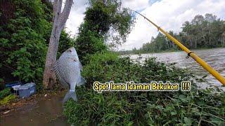 Spot idaman ikan bekukon