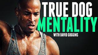 TRUE DOG MENTALITY - The Most Motivational Video  David Goggins