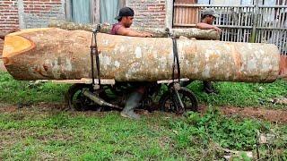 a genius but dangerous technique for transporting large logs using a homemade motorbike