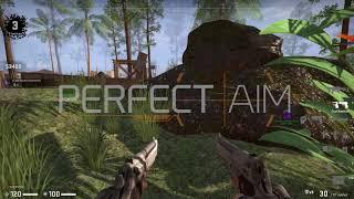 PerfectAim CSGO Multihack - Undetected ESPAimbotSilent AimTriggerbotHvH cheat