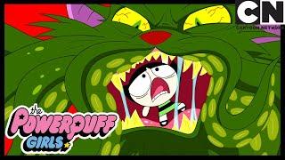 Bubbles Gets Eaten  Powerpuff Girls  Cartoon Network