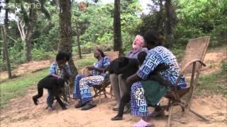 Web exclusive Bonobos cause issues for the crew - Monkey Planet - BBC One