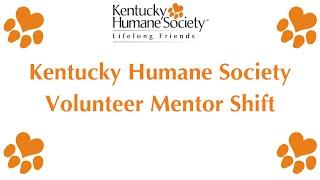 Volunteer Mentor Shift