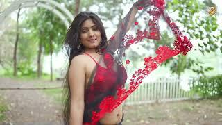 Model expression video in saree  Saree Fashion  Saree lover  Saree sundari