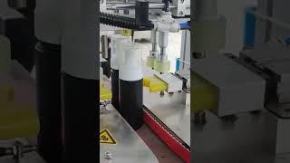 Automatic capping machine