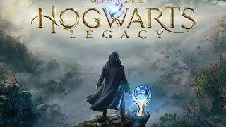 Hogwarts Legacy Platinum IS MAGICAL