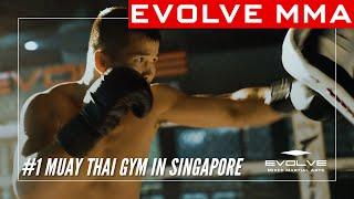 #1 Muay Thai Gym In Singapore  Evolve MMA