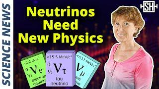 Musk is Right Neutrinos Are Evidence for New Physics